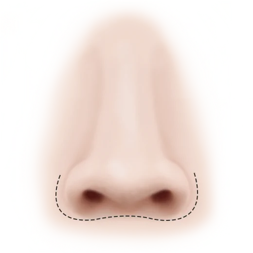Mũi củ hành